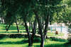Vestar Camping 
